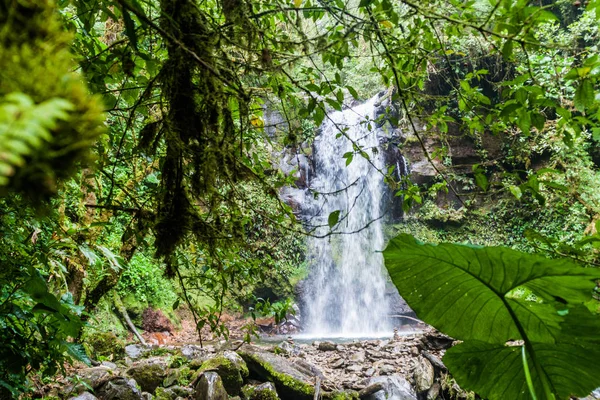 Şelale Boquete, Panama yakınındaki. İz hiking şelaleler kaybetti tarafından erişilebilir.