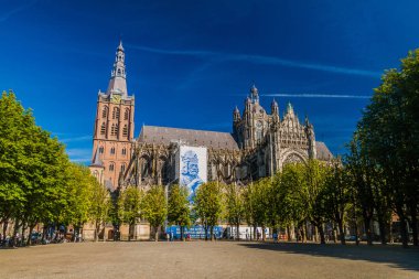 Gothic Saint John's Katedrali Den Bosch, Hollanda