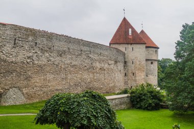 Sur duvarları Old Town, Tallinn, Estonya