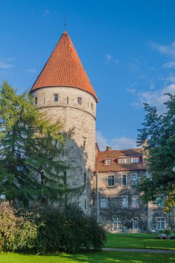Tallinn, Estonya eski şehir sur duvarları, kule