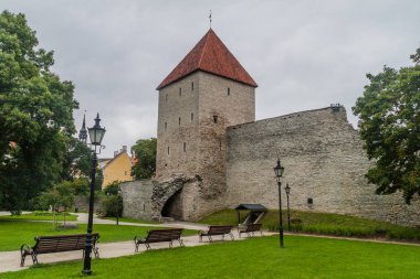 Kule ve ortification duvarının Tallinn, Estonya