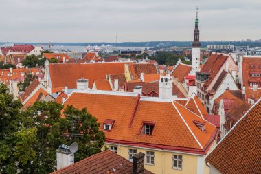 Çatı Old Town Tallinn, Estonya