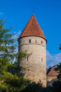 Tallinn, Estonya eski şehir sur duvarları, kule