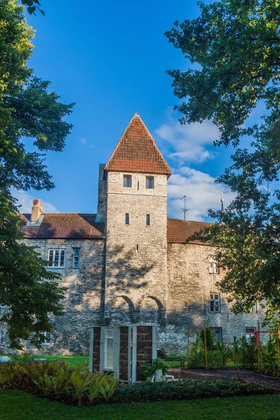 Torre Los Muros Fortificación Casco Antiguo Tallin Estonia — Foto de Stock