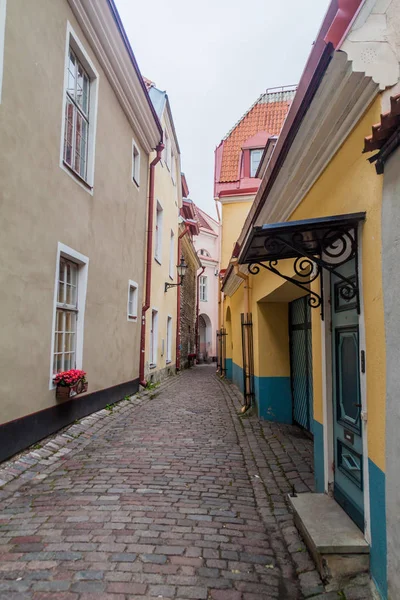 Estrecha Calle Adoquinada Rahukohtu Distrito Toompea Tallin Estonia —  Fotos de Stock