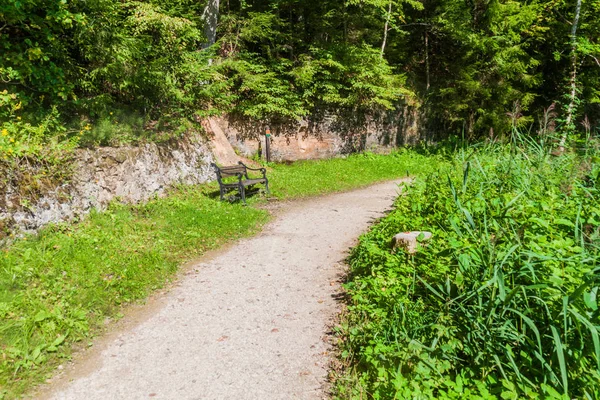 Hiking Trail Gauja Milli Parkı Letonya — Stok fotoğraf