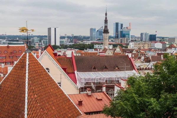 Çatı Old Town Tallinn, Estonya