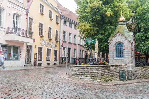 Tallinn Estônia Agosto 2016 Pessoas Caminham Pela Rua Pikk Paralelepípedos — Fotografia de Stock