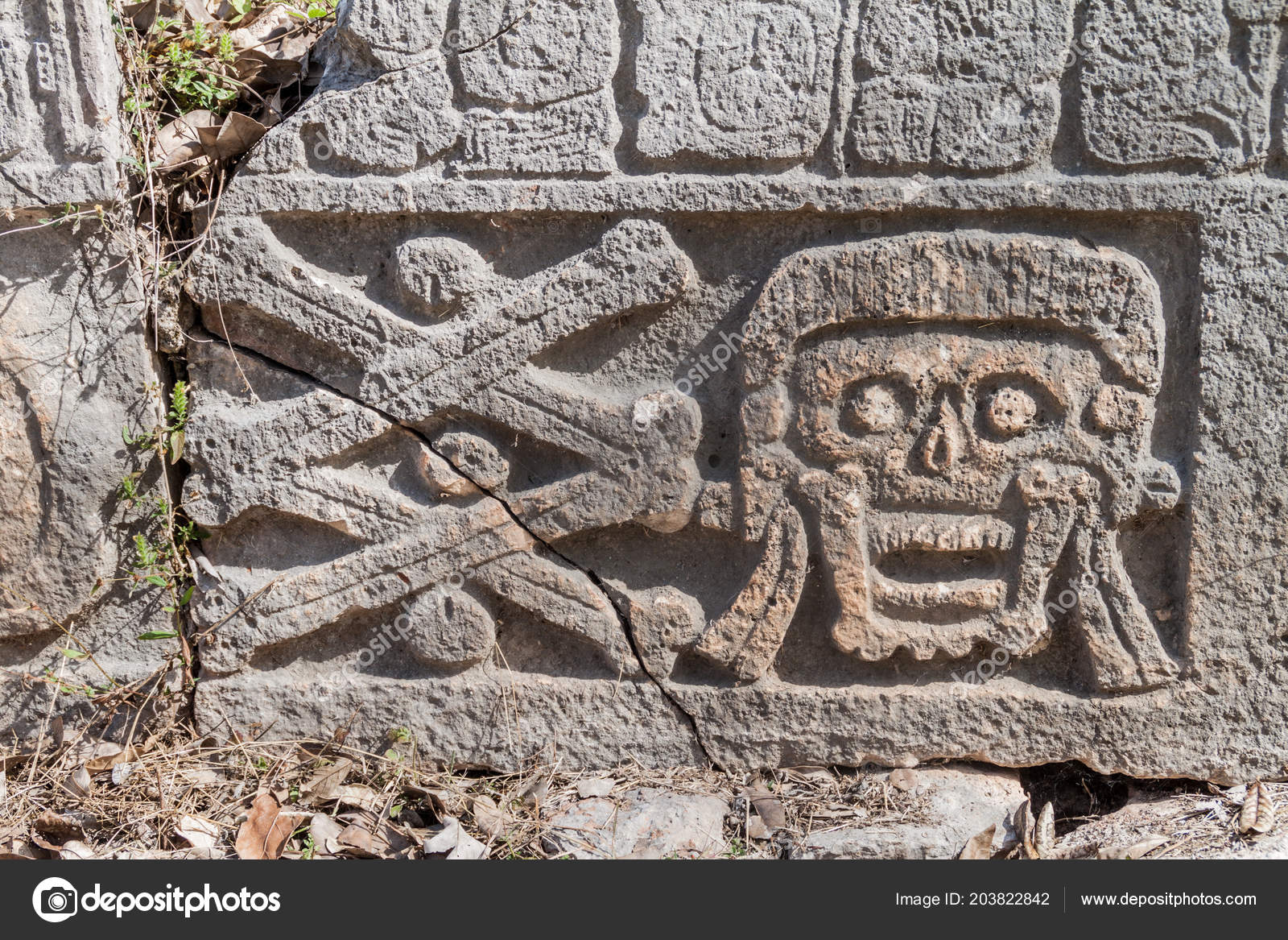 Skull Bones Carving Ruins Ancient Mayan City Uxmal Mexico — Stock Photo