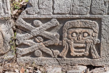Kafatası ve kemikler antik Maya şehir Uxmal, Meksika kalıntıları oyma