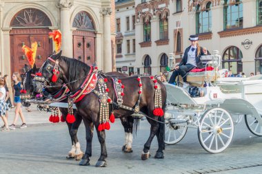 Krakow, Polonya - 3 Eylül 2016: At arabası, Krakow, Polonya pazar meydanında turistler için bekler