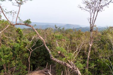 Ormanda Milli Parkı El Imposible, El Salvador