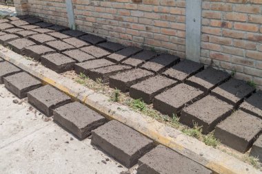 Adobe tuğla La Campa köyünde, Honduras Kuru