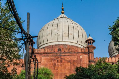 Delhi, Hindistan Jama Mescidi Camii kubbe