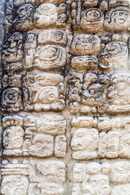 Arkeolojik sitesi Copan, Honduras, Maya hiyeroglif detay