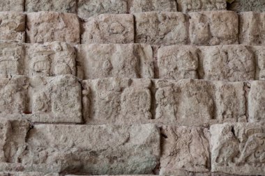 Arkeolojik sitesi Copan, Honduras hiyeroglif merdiven adımlardan detay