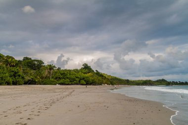 Beach Manuel Antonio Köyü, Kosta Rika