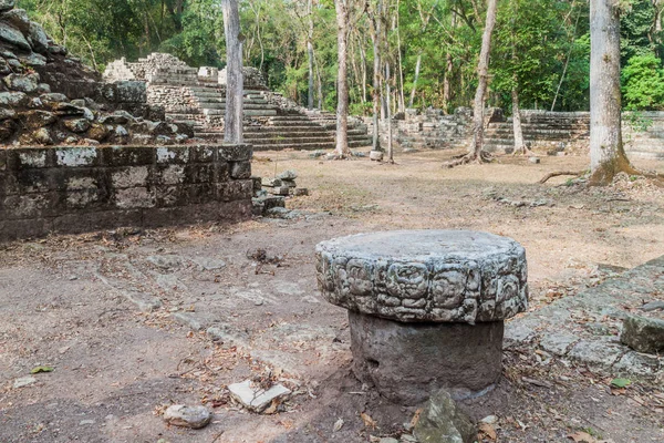 Ruiny Archeologiczne Copan Honduras — Zdjęcie stockowe