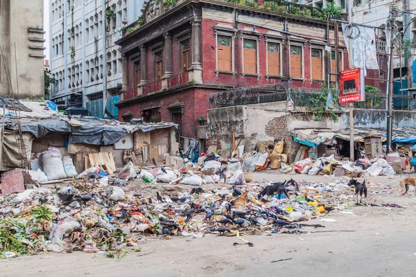 Kolkata Índia Outubro 2016 Trash Covered Street Center Kolkata Índia — Fotografia de Stock