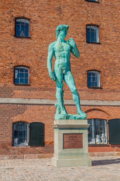 Copenagen Danimarca Agosto 2016 Replica Della Statua David Michelangelo Copenaghen — Foto Stock