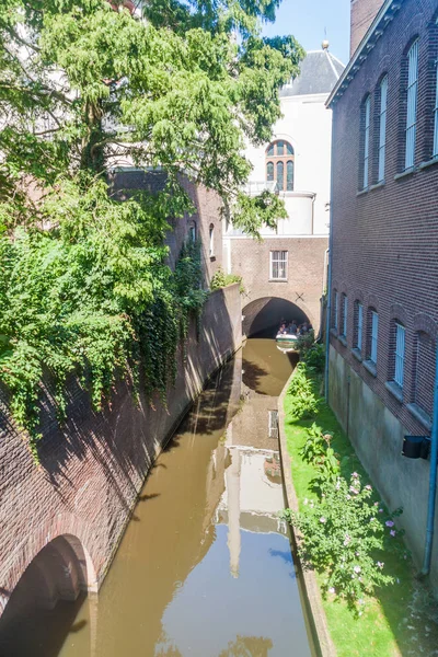 Den Bosch Paesi Bassi Agosto 2016 Imbarcazione Turistica Canale Den — Foto Stock