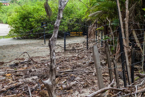 Krokodil Warnschild Nationalpark Manuel Antonio Costa Rica — Stockfoto