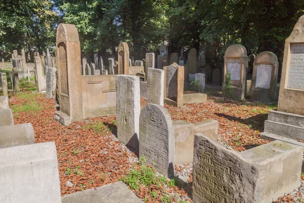 Krakow Poland September 2016 Tombstones New Jewish Cemetery Krakow Poland — Stock Photo, Image