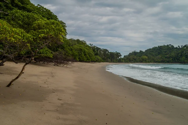 Playa Parque Nacional Manuel Antonio Costa Rica — Foto de Stock