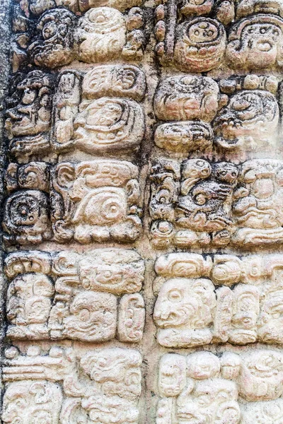 Detalhe Dos Hieróglifos Maias Sítio Arqueológico Copan Honduras — Fotografia de Stock