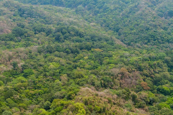 国立公園 Imposible サルバドルの森 — ストック写真
