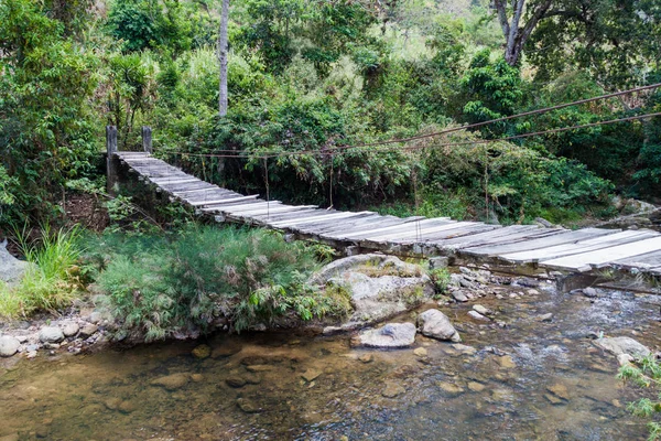 Asma köprü La Campa Köyü, Honduras