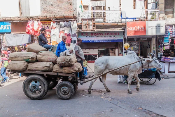 Delhi India Ottobre 2016 Gente Cavalca Carro Buoi Nel Centro — Foto Stock