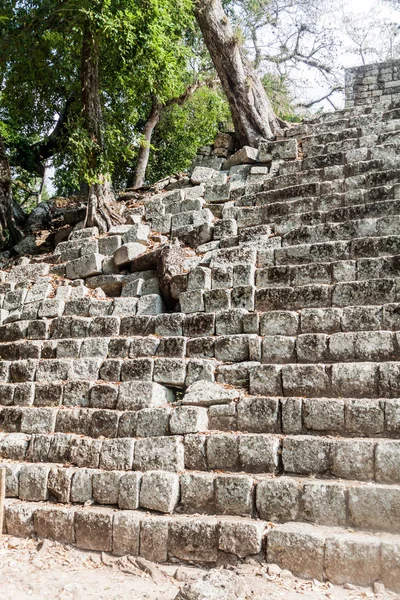 Merdiven arkeolojik sitesi Copan, Honduras