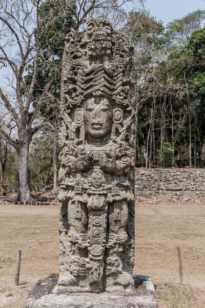 Stela arkeolojik sitesi Copan, Honduras