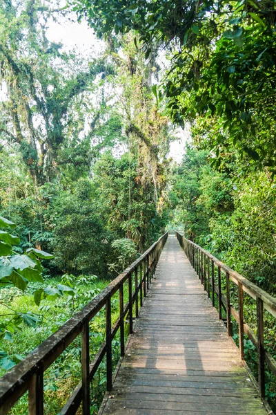 Прогулка Экоархеологическому Парку Лос Наранхос Гондурас — стоковое фото