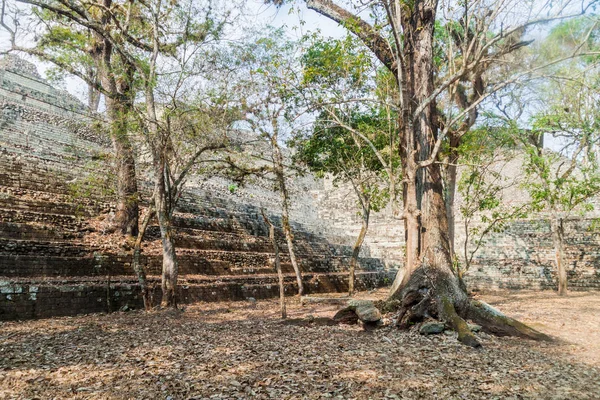 Ruines Sur Site Archéologique Copan Honduras — Photo