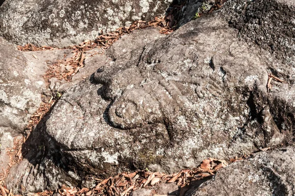 Esculturas Sítio Arqueológico Los Sapos Perto Copan Ruinas Honduras — Fotografia de Stock