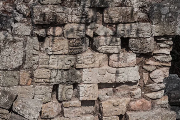 Arkeolojik sitesi Copan, Honduras Kalesi'nde