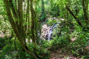 Küçük şelale içinde Milli Parkı Manuel Antonio, Kosta Rika