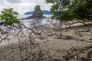 Beach içinde Milli Parkı Manuel Antonio, Kosta Rika