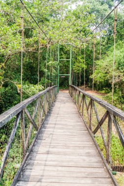 Asılı bridg Eko-arkeolojik Park Los Naranjos, Honduras