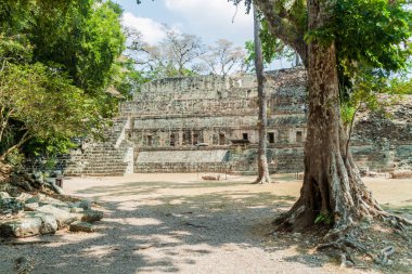 Arkeolojik sitesi Copan, Honduras Kalesi'nde