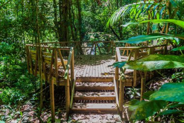 Gözlem peron içinde Milli Parkı Manuel Antonio, Kosta Rika