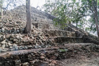 Arkeolojik sitesi Copan, Honduras Kalesi'nde