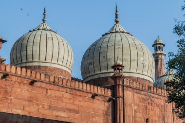 Cupolas Jama Mescidi Camii Delhi, Hindistan