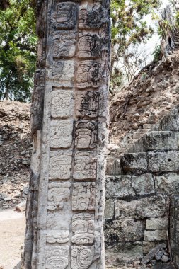 Stela, arkeolojik üzerinde Maya hiyeroglif sitesi Copan, Honduras