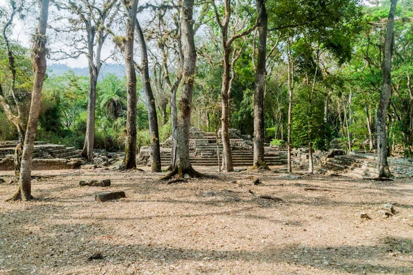 Arkeolojik sitesi Copan, Honduras Kalesi'nde