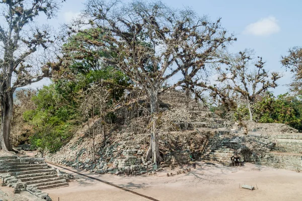 Ruin Archaeological Site Copan Honduras — Stock Photo, Image