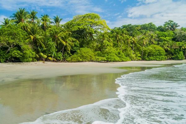 Strand Nationalpark Manuel Antonio Costa Rica — Stockfoto