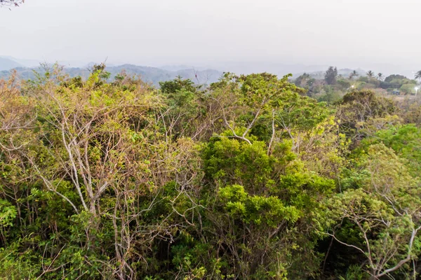 Wald Nationalpark Imposible Salvador — Stockfoto